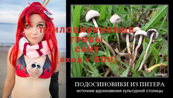 синтетический гашиш Армянск